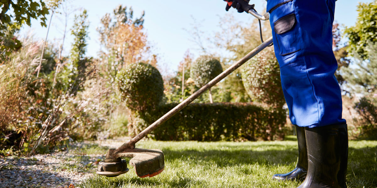 debroussaillage Evreux