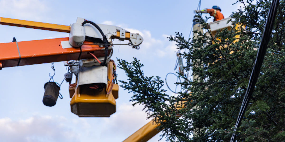 elagage sous cables Evreux