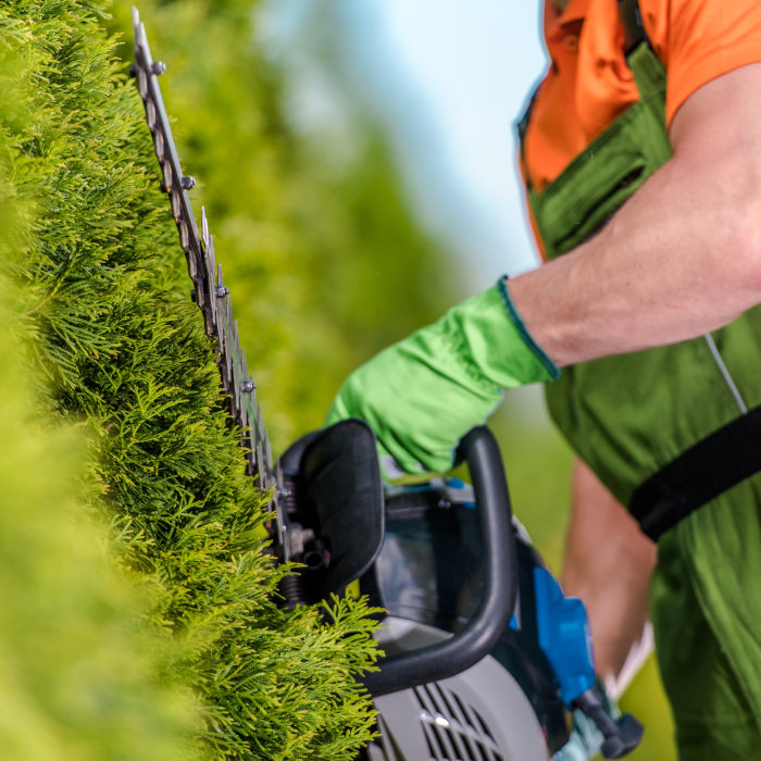 Taille de haie Evreux