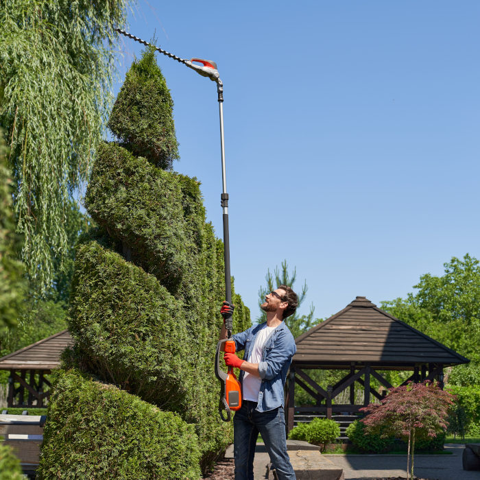 Services d'élagage Evreux