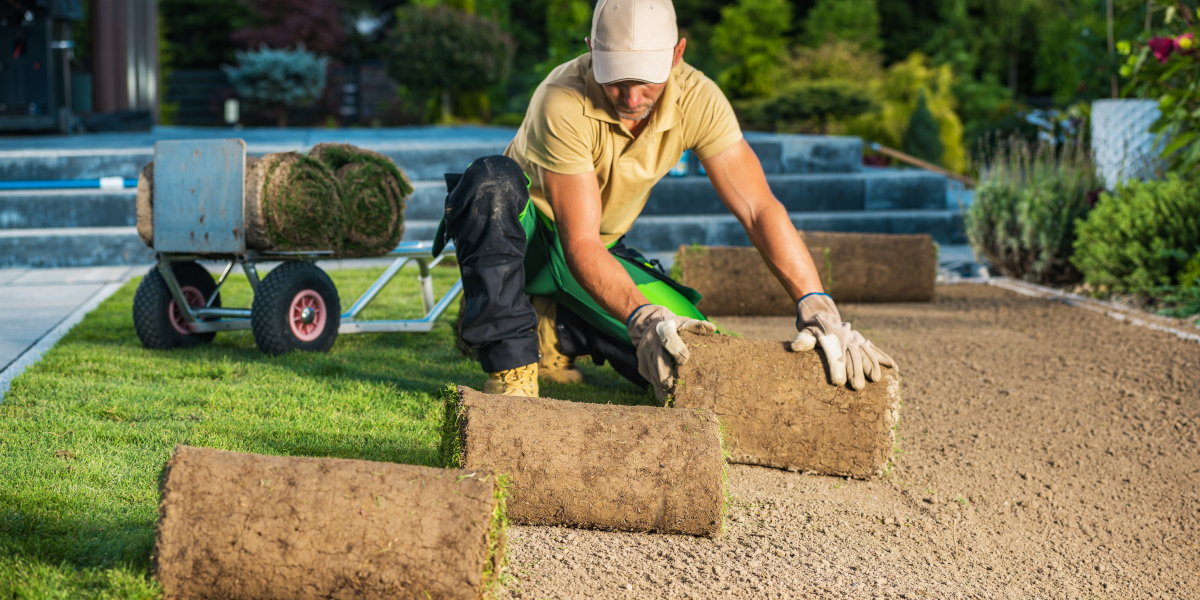 Engazonnement Evreux